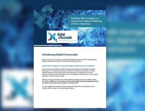 Digital Crossroads Newsletter 1